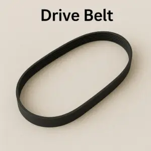 Drive Belt